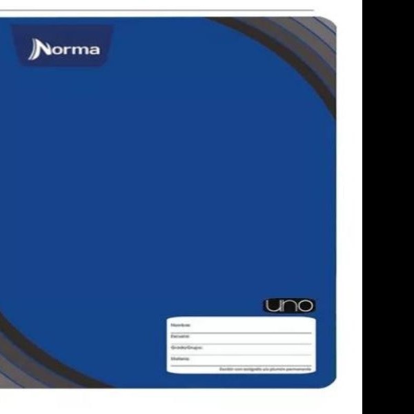 CUADERNO PROF. COSIDO UNO 582881 RAYA 100H PZA